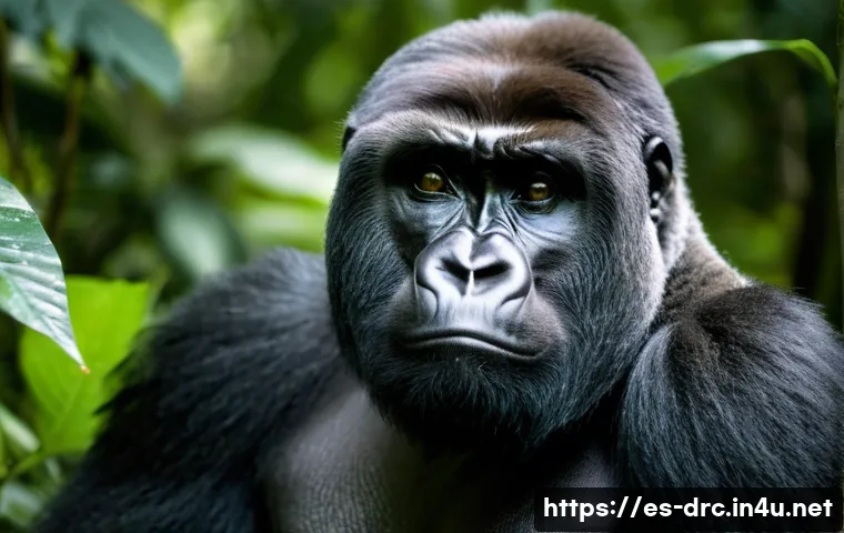콩고 고릴라 보호구역의 역사적 가치 - **Prompt 1: "A majestic silverback mountain gorilla, with a wise and contemplative expression, sits ...